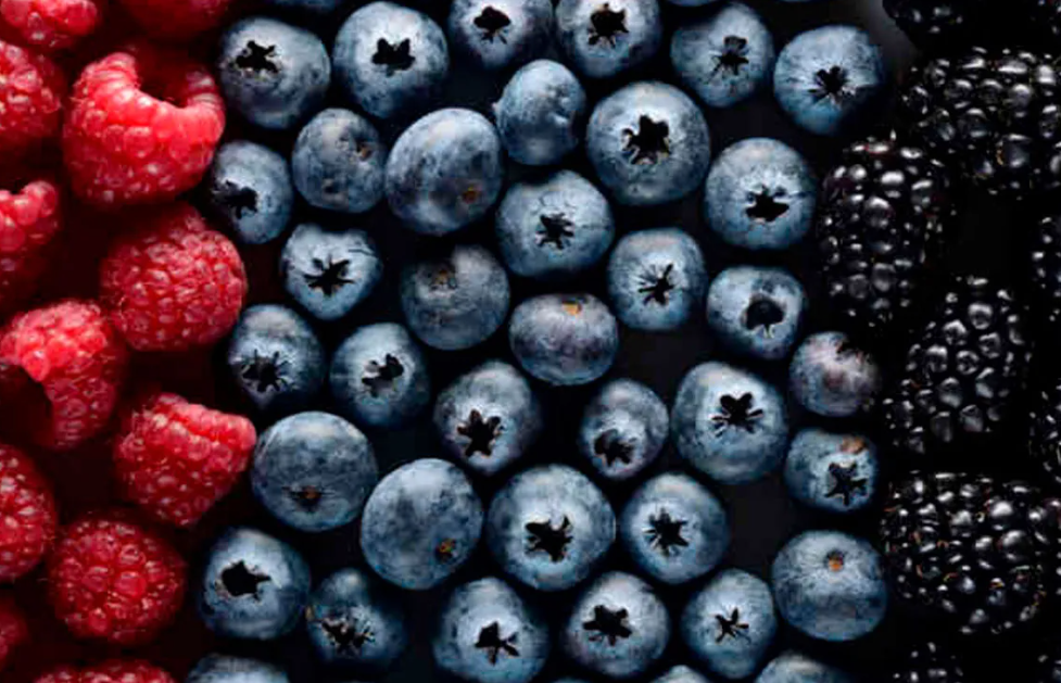 fresh_berries_feature